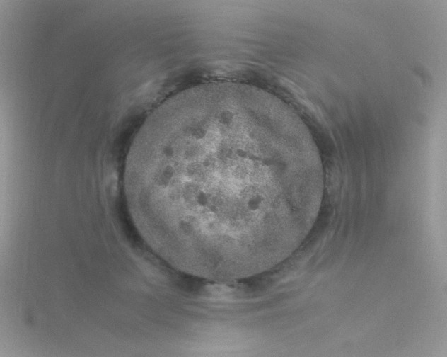 X0000115580703200911241513