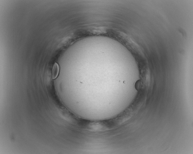 X0000115580704200911241513