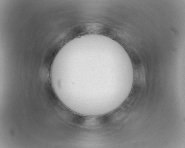 X0000115580705200911241513