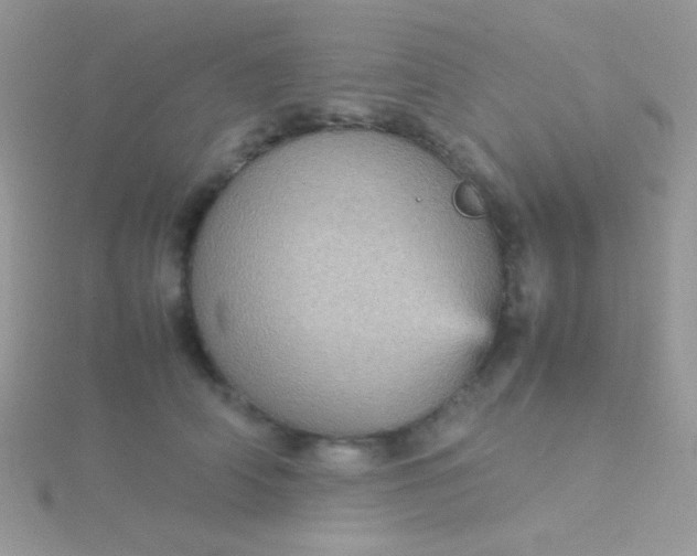 X0000115580706200911241513