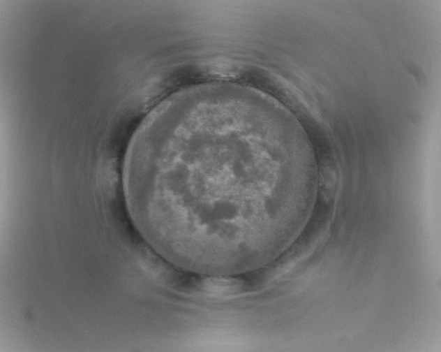 X0000115580707200911241513