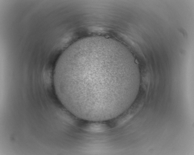 X0000115580708200911241513