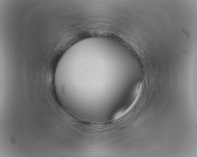 X0000115580709200911241513