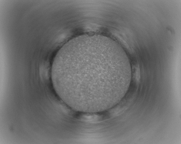 X0000115580712200911241513