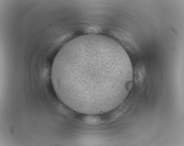 X0000115580714200911241513