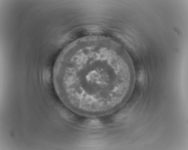 X0000115580715200911241513