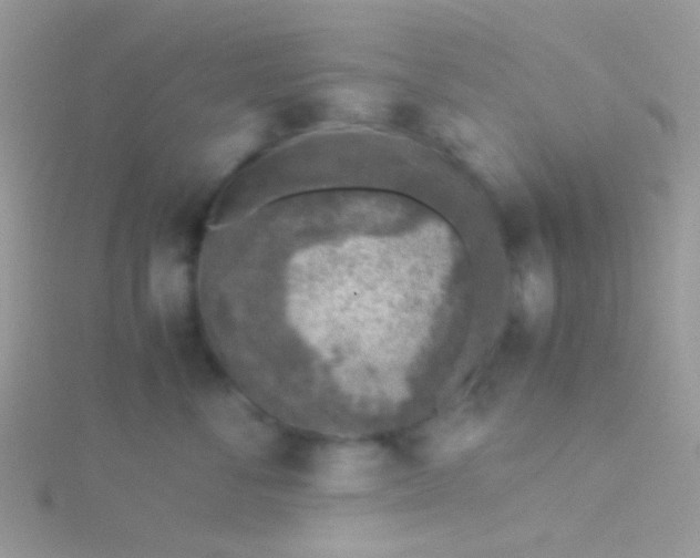 X0000115580716200911241513