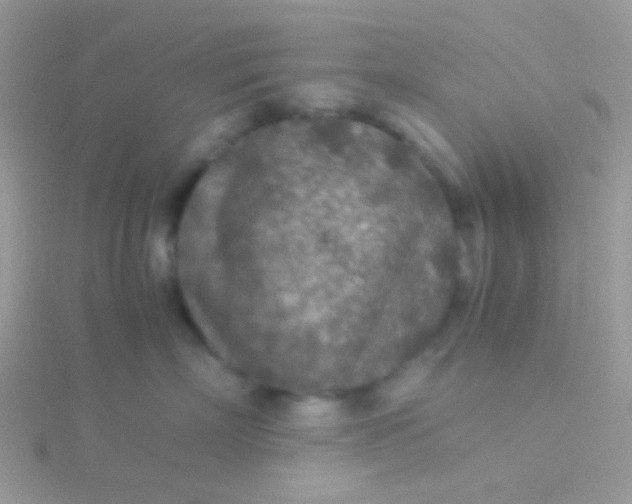 X0000115580718200911241513