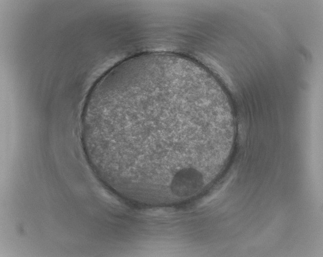 X0000115580721200911241512