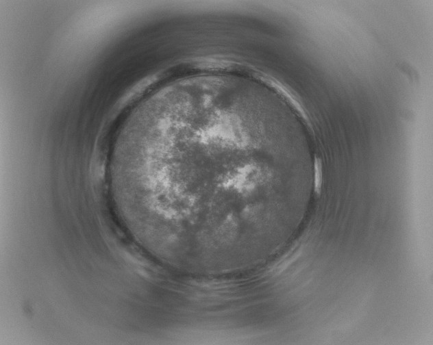 X0000115580723200911241512