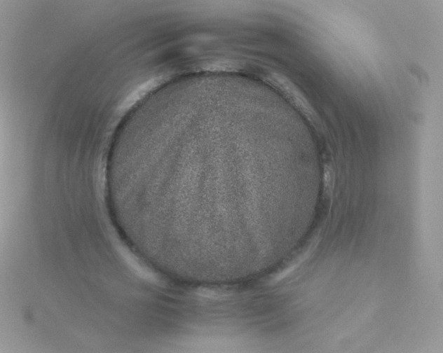 X0000115580725200911241512