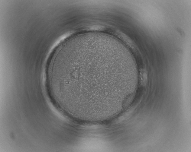 X0000115580726200911241512