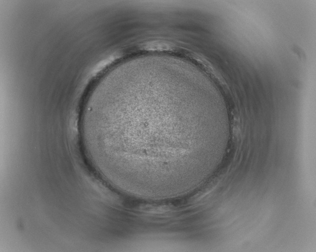 X0000115580727200911241512