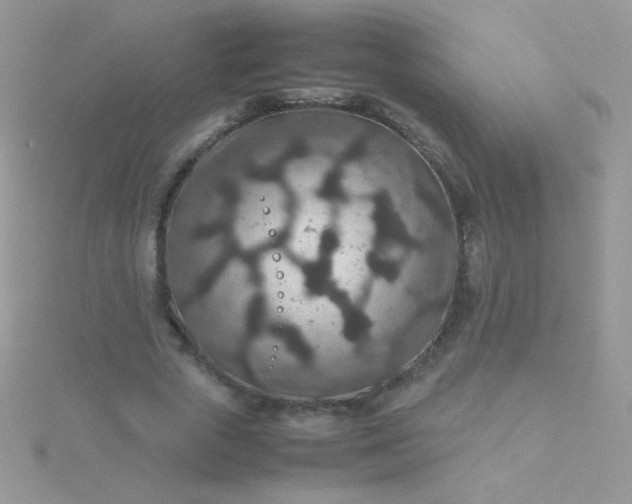 X0000115580729200911241512