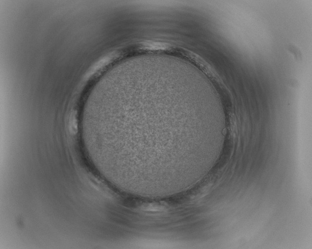 X0000115580731200911241512