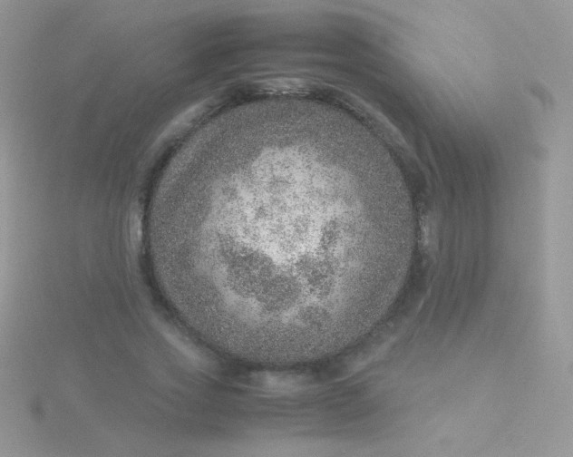 X0000115580733200911241512