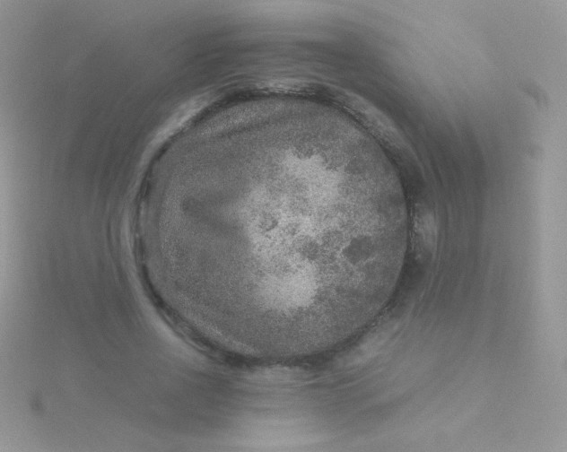 X0000115580734200911241512