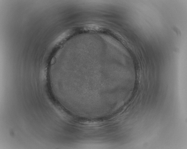 X0000115580735200911241512