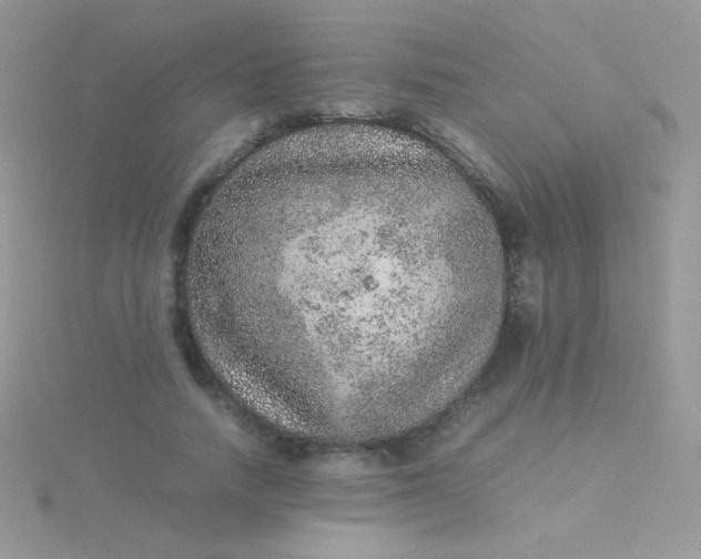 X0000115580738200911241512