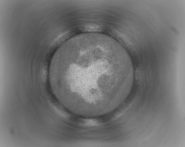 X0000115580741200911241512