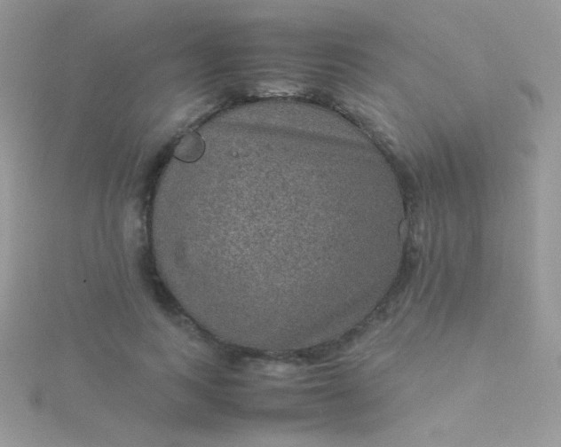 X0000115580743200911241512