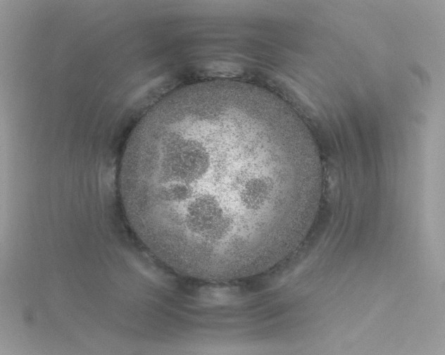 X0000115580745200911241512