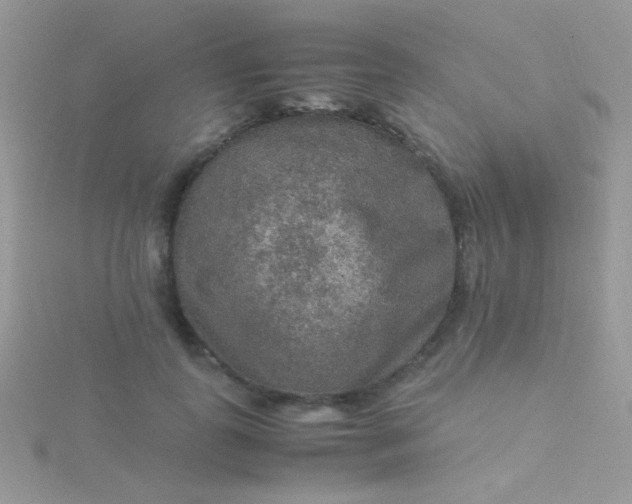 X0000115580747200911241512