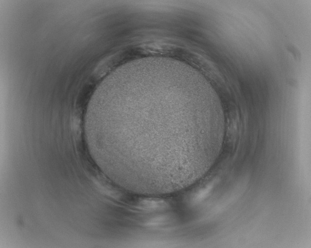 X0000115580749200911241512