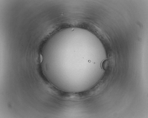 X0000115580750200911241512