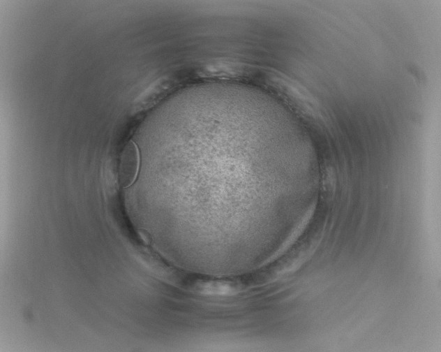 X0000115580751200911241512