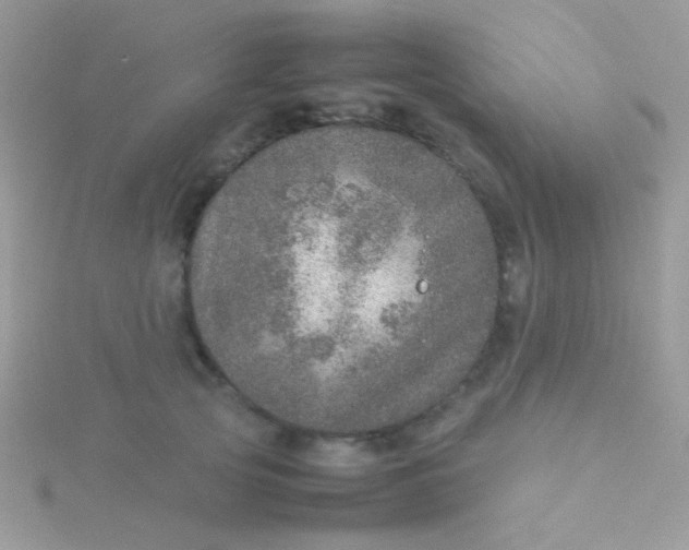 X0000115580753200911241512