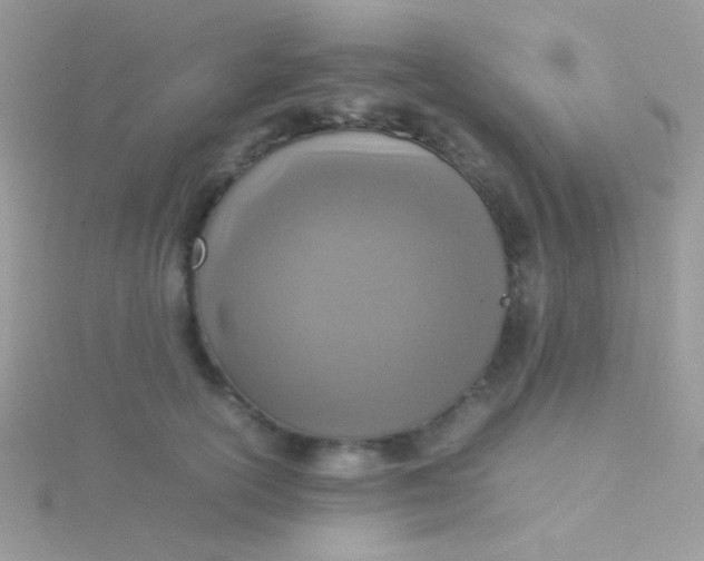 X0000115580754200911241512