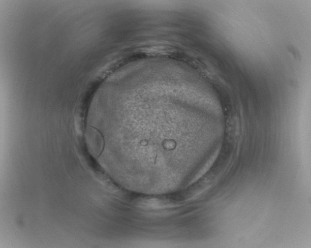 X0000115580755200911241512