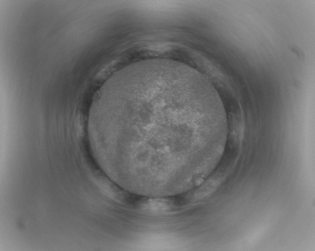 X0000115580758200911241512