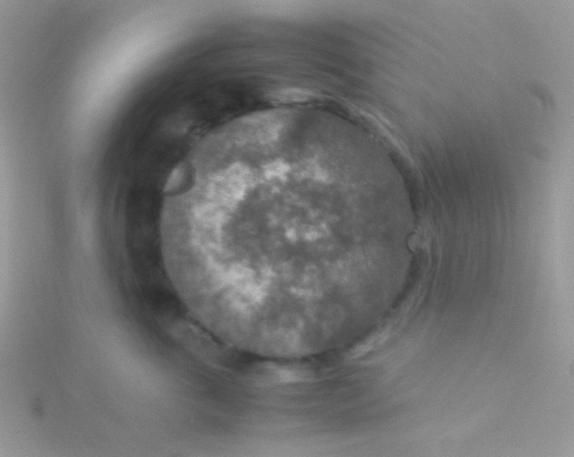 X0000115580763200911241512