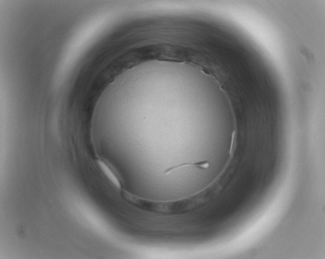 X0000115580766200911241512