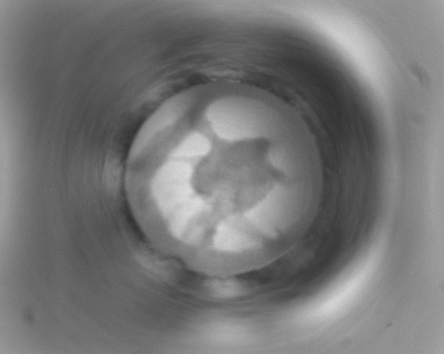 X0000115580767200911241512