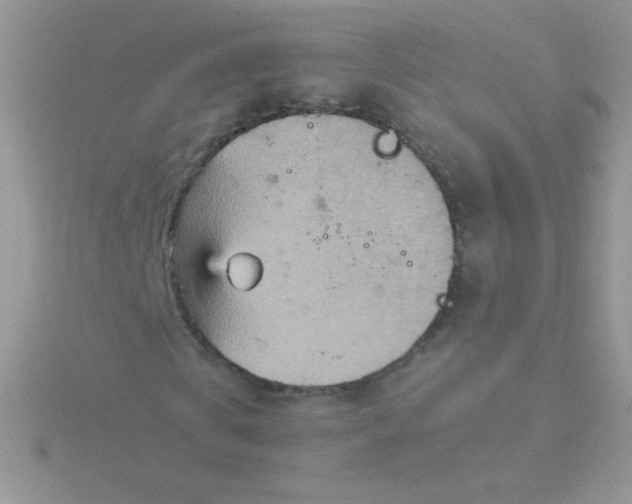 X0000115580769200911241512