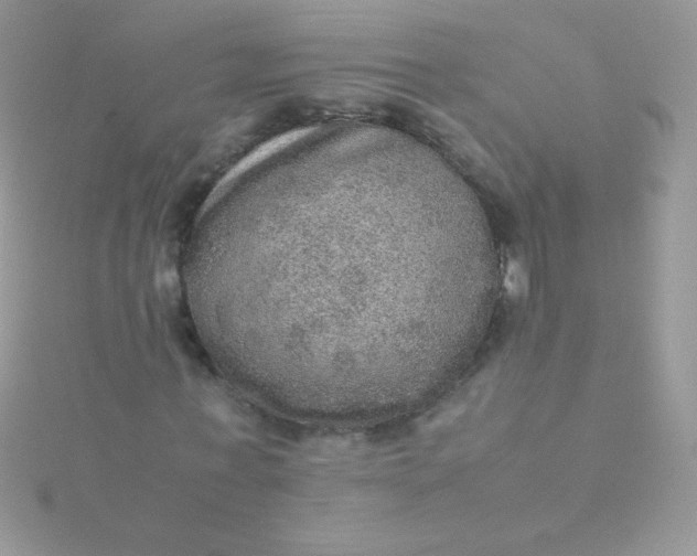 X0000115580771200911241512