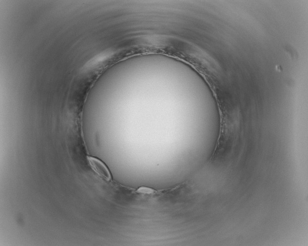 X0000115580773200911241512