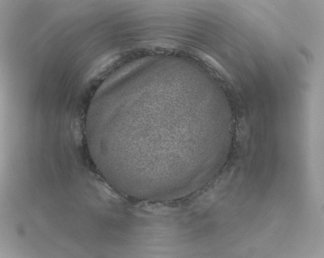 X0000115580774200911241512