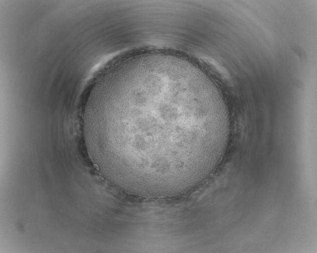 X0000115580776200911241512