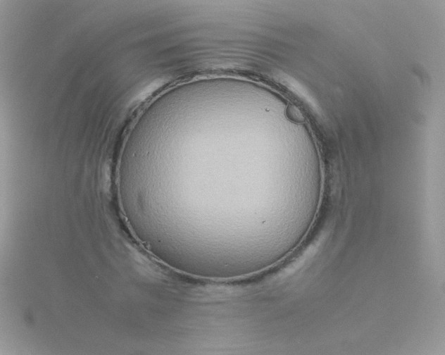 X0000115580777200911241512