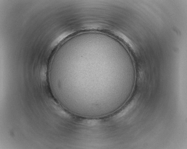 X0000115580778200911241512