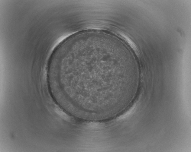 X0000115580779200911241512