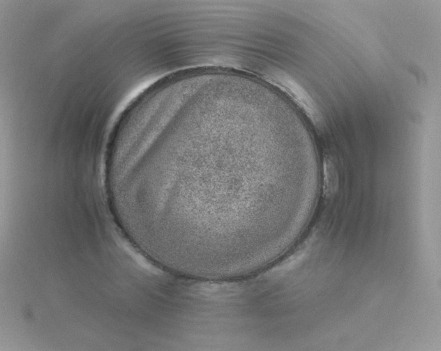 X0000115580780200911241512