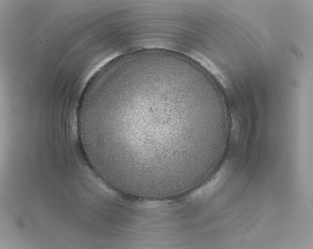 X0000115580782200911241512