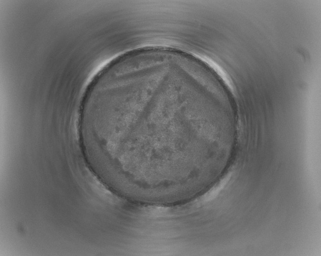 X0000115580783200911241512