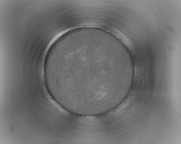 X0000115580784200911241512