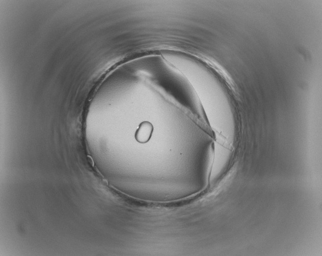 X0000115580785200911241512